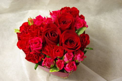 �Х�󥿥������ϡ��ȥ����